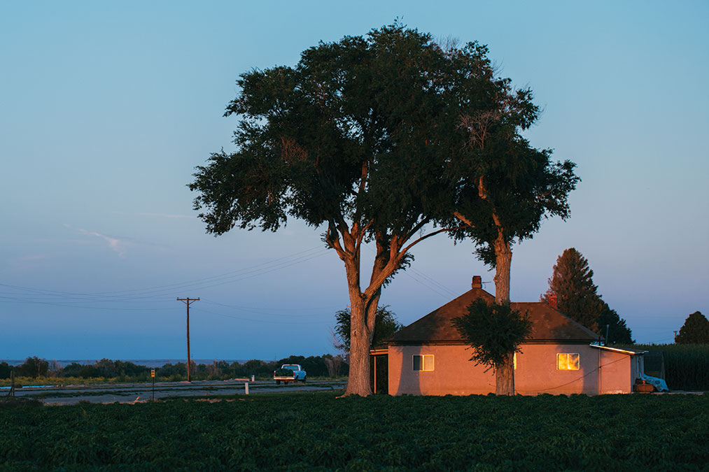 House and tree at dusk.