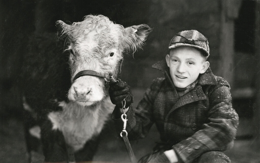Black and white photo of a boy and a cow.