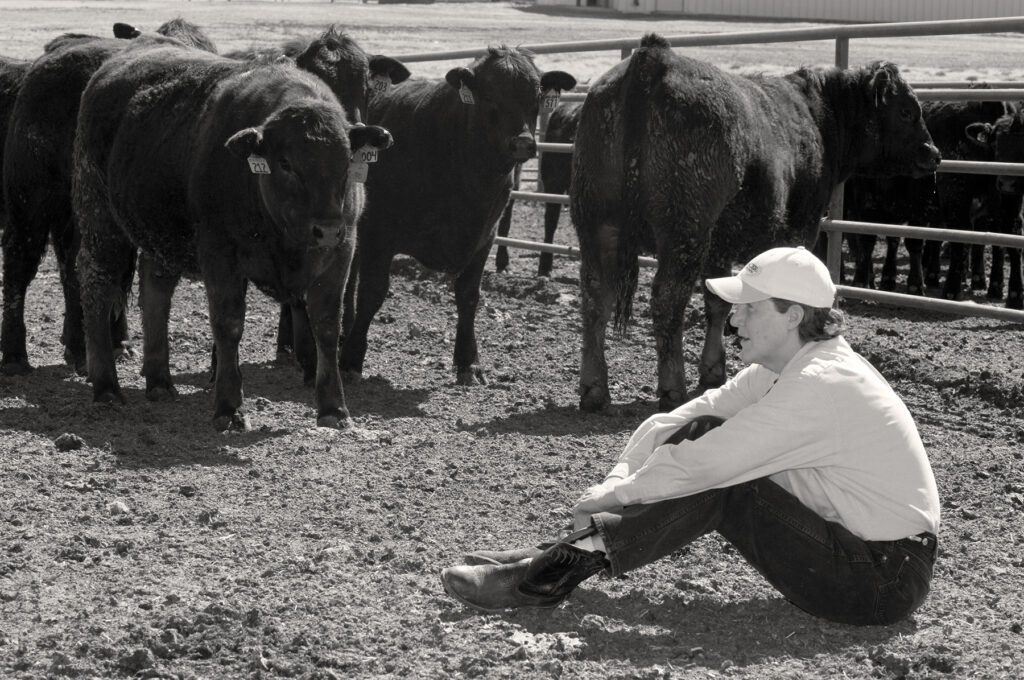 Black and white photo of a woman sitting on the ground near cows.