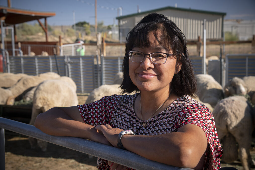 A woman leans on a fence with sheep in the background.