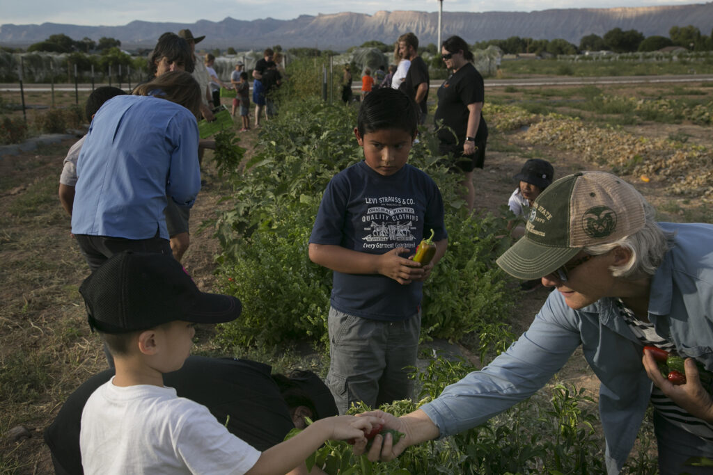 A boy holds a pepper in a field surrounded by other people.