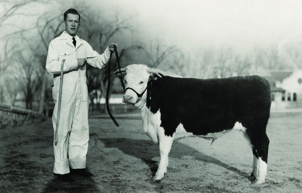 Black and white photo of a man and a cow.