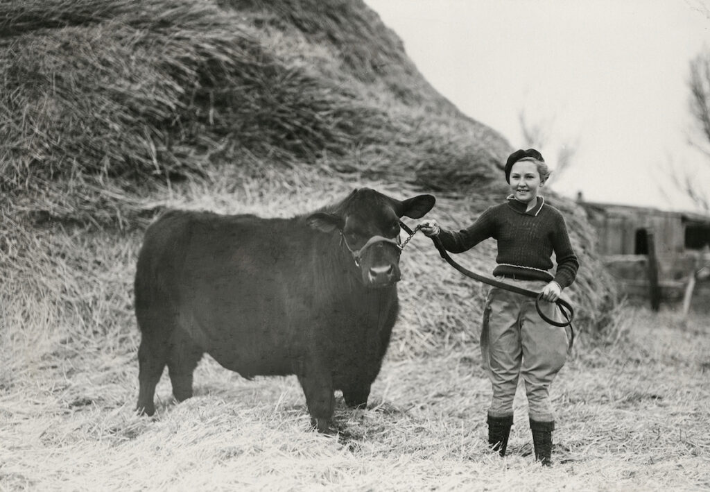 Black and white photo of a girl with a cow.