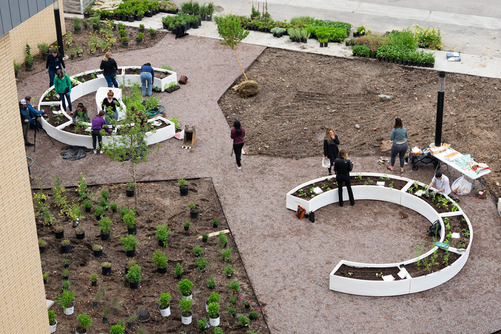 Aerial view of horseshoe-shaped gardens and people planting them.
