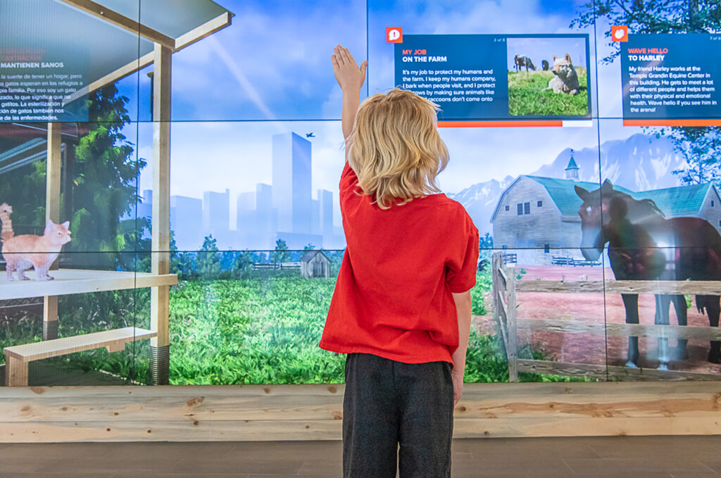 Child in a red shirt stands with one hand raised in front of an interactive exhibit with a digital cat and horse.