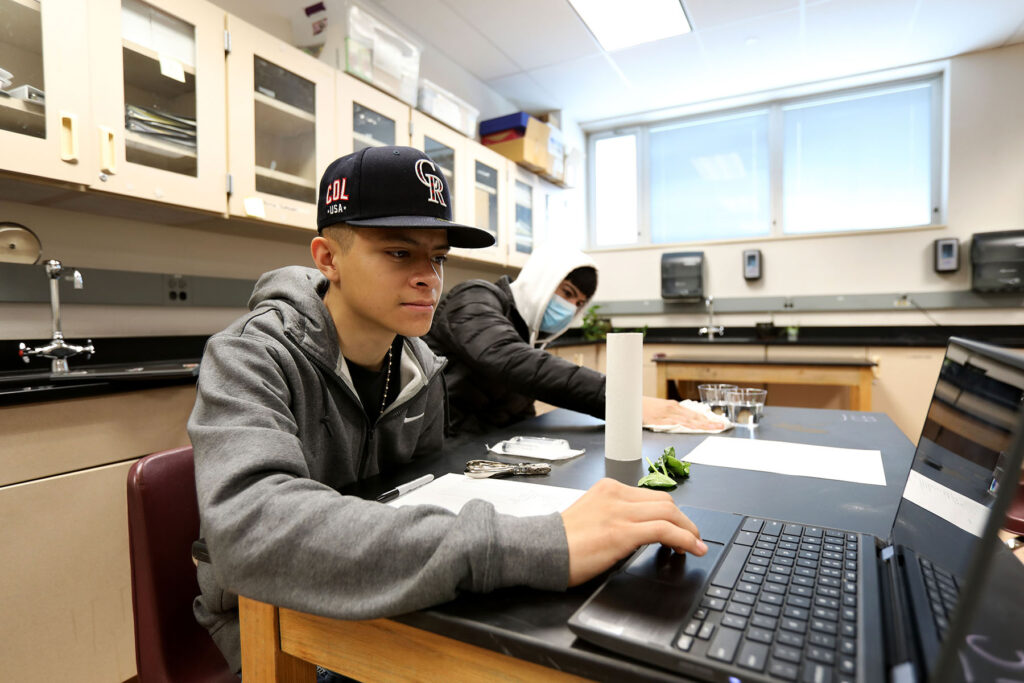 Young man in a hoodie and baseball hat sits at a laptop.