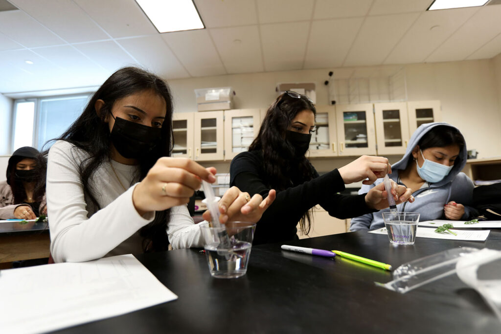 Three students at a lab table use syringes to add a liquid to cups of water.