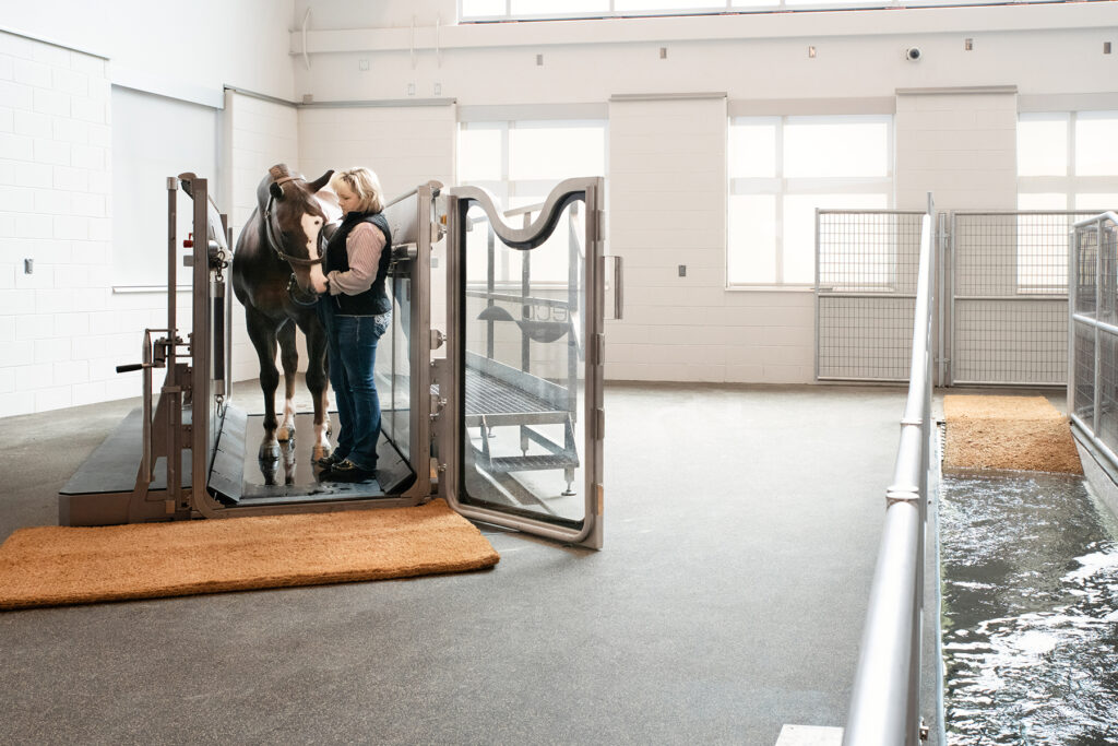 A woman stands with a brown horse on a treadmill.