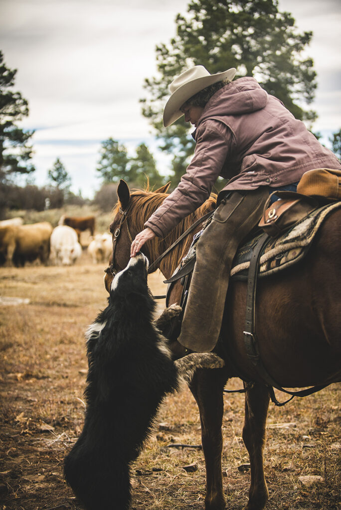 Woman leans down from the saddle of her horse to pet a black and white dog standing on its hind legs.