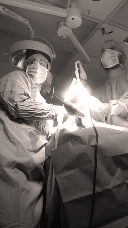 A veterinarian in surgery.