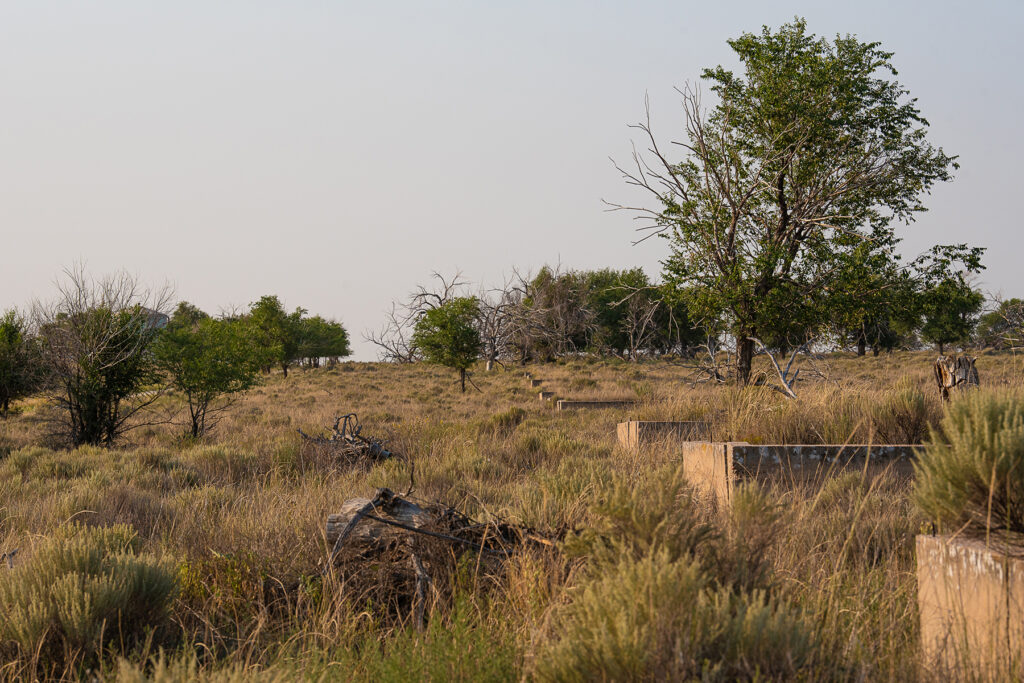 Remains of buildings in a field.