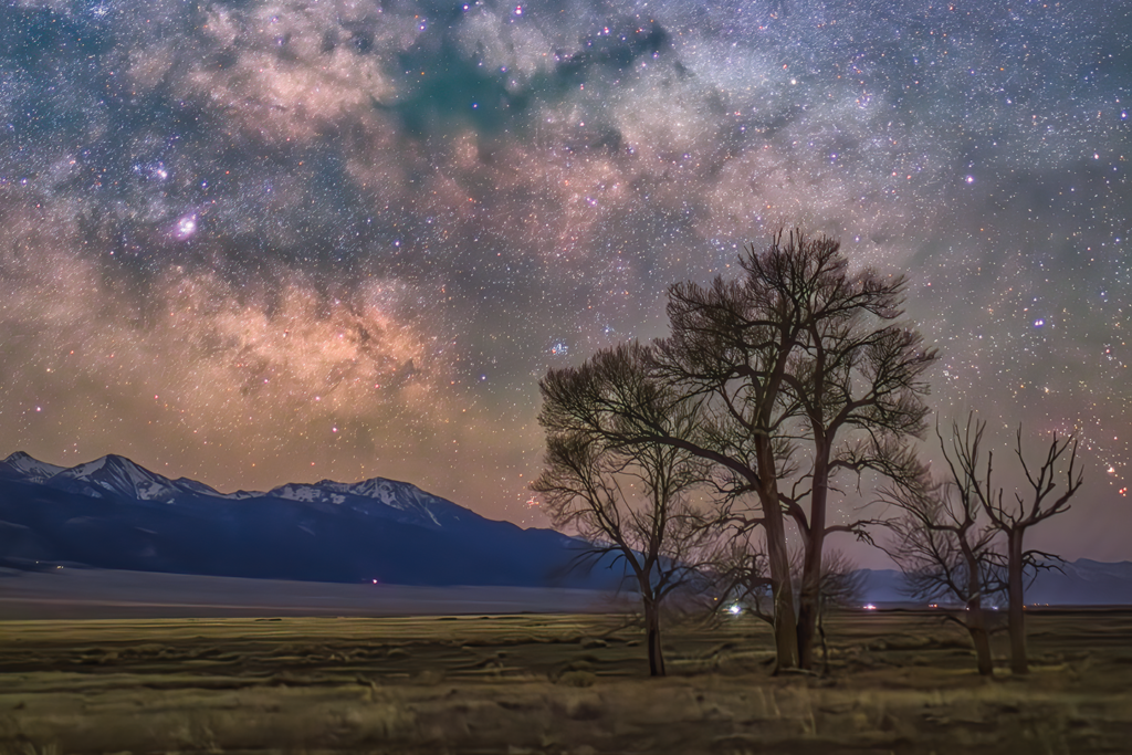 Night sky over mountains with trees in the foreground.