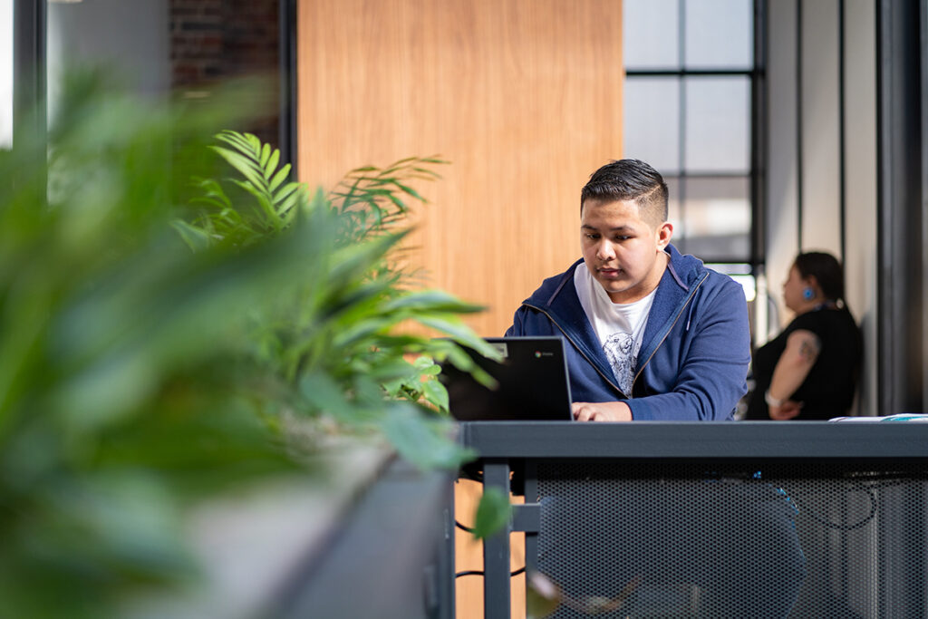 A student studying on a laptop.