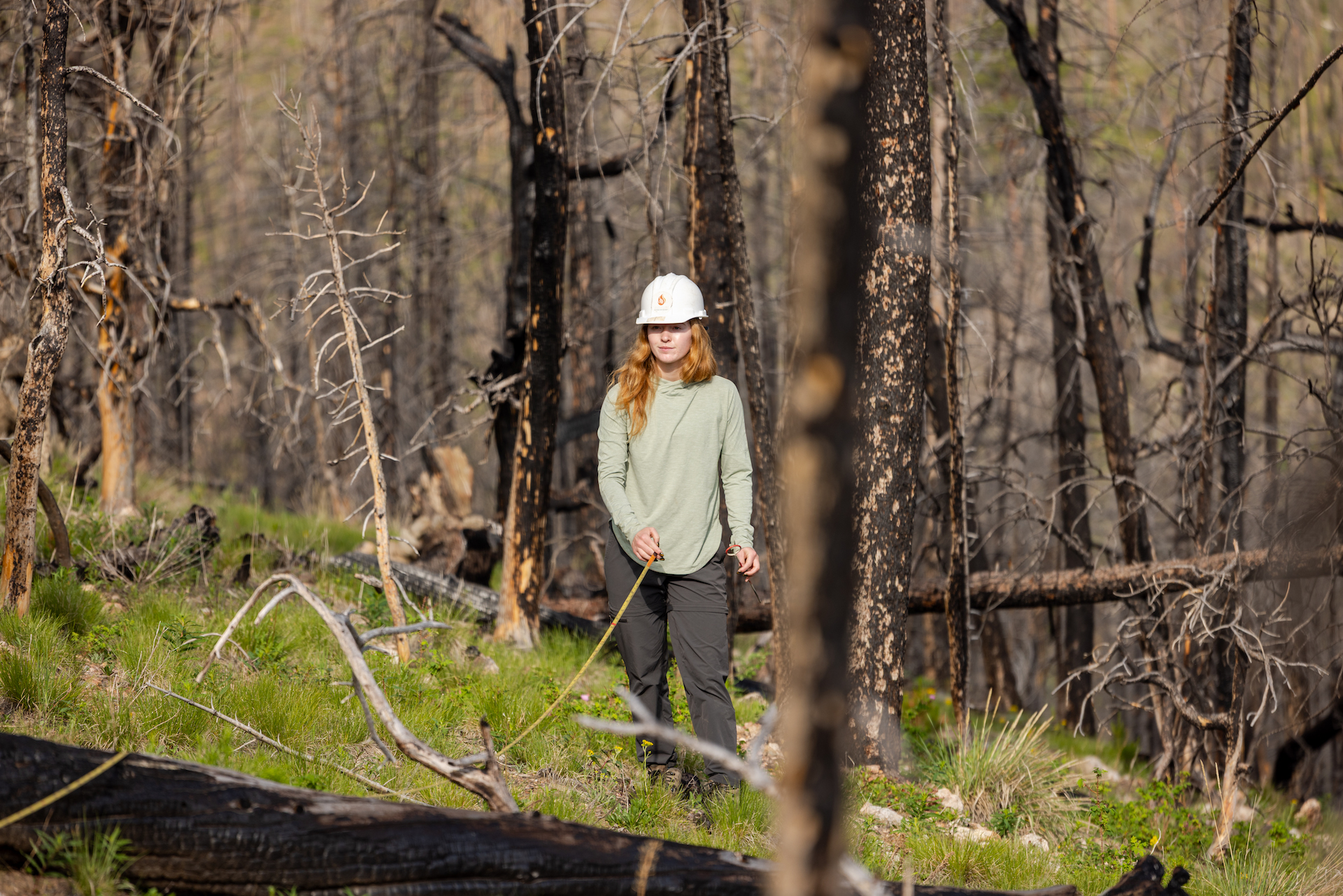 A woman in a white hard hat uses a measuring tape in a forest.