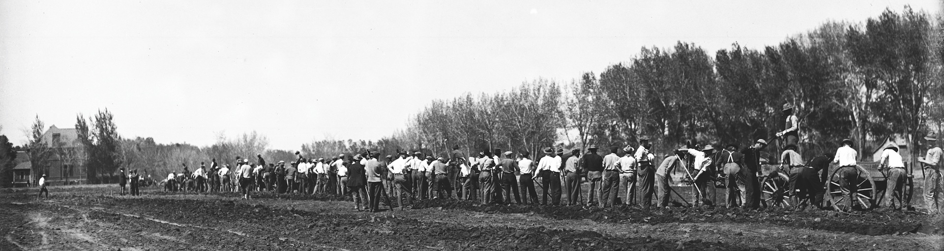 Historical photo of a long row of men digging a trench in a field.