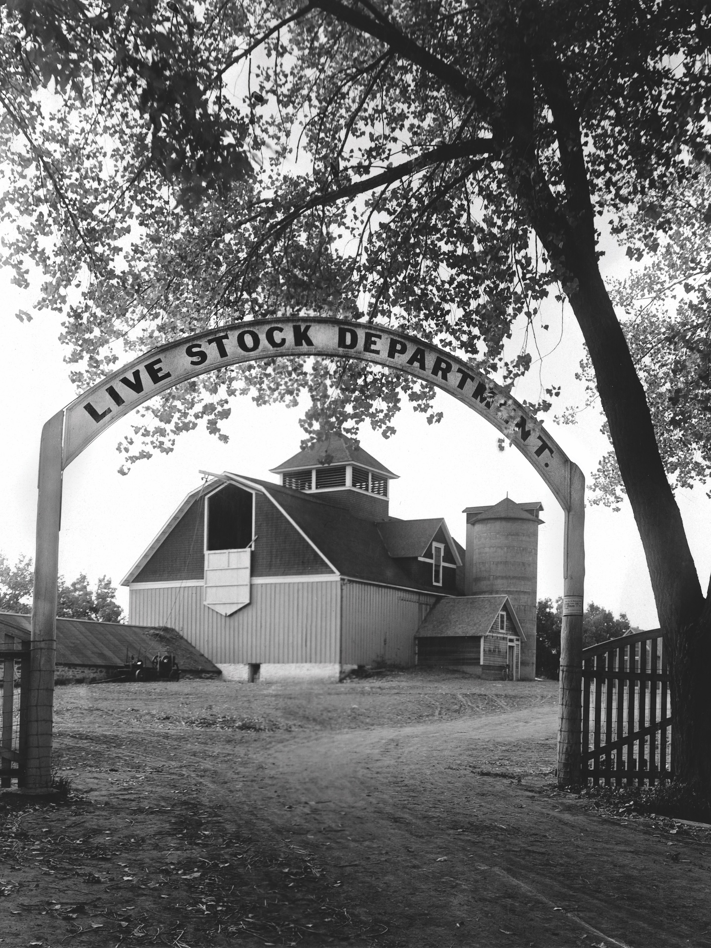 Historical photo of a barn with an arched sign that reads Live Stock Department.